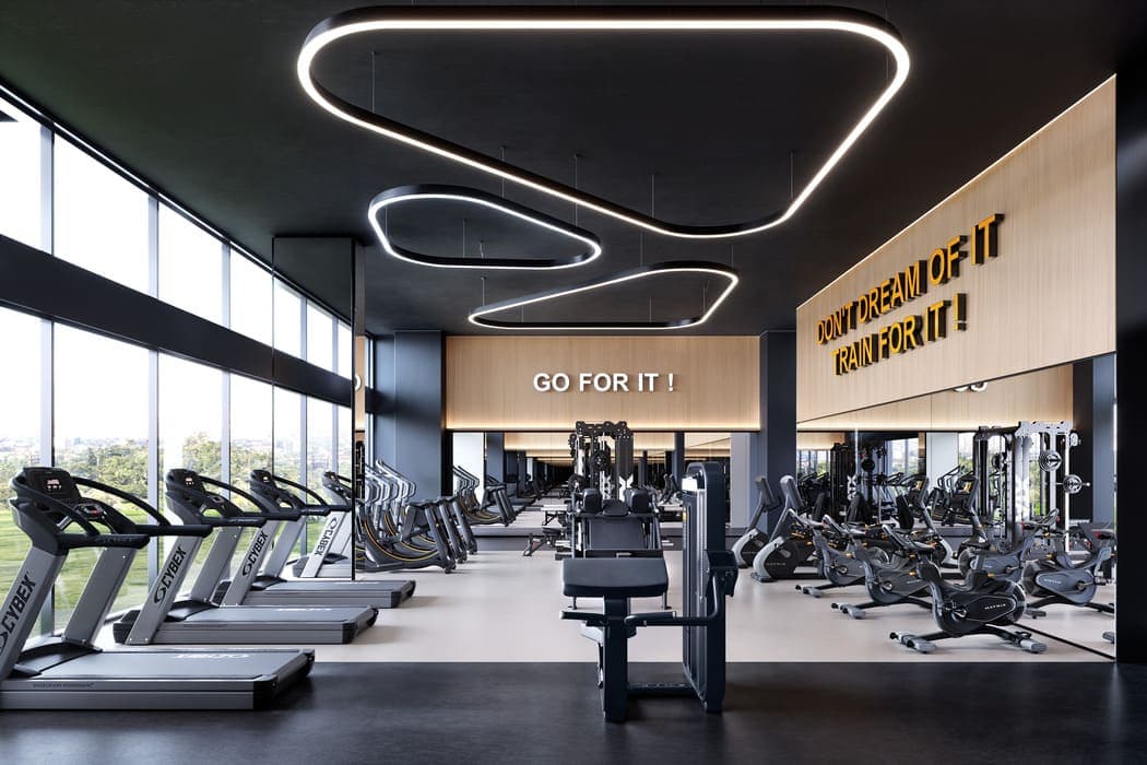 Gimnasio 