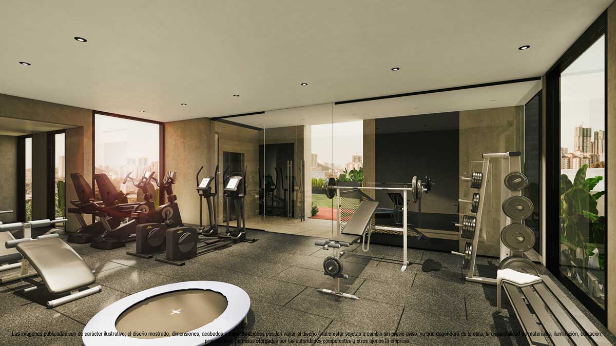 Gimnasio