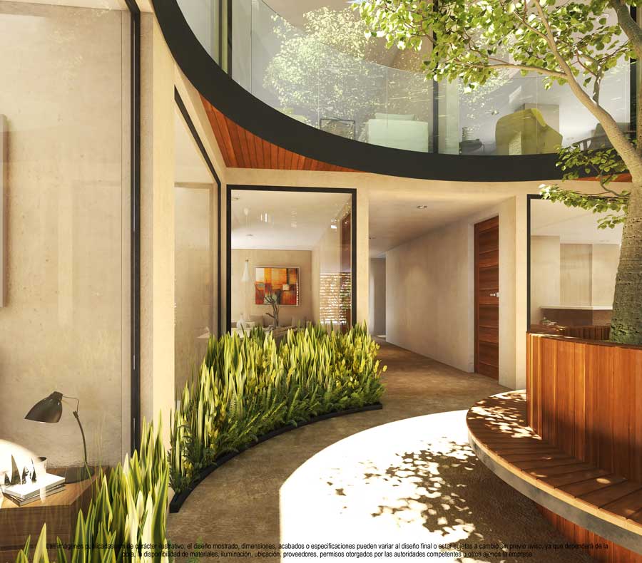 Patio Central